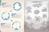 Pokémon: Das offizielle Stickerbuch Kanto-Region - Die Produktbild-Vorschau 4