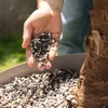 Podłoże roślinne LECHUZA PALMPON 12 litrów | dla palm i Podgląd zdjęcia produktu 6