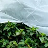 Zimní ochrana rostlin, velký ochranný obal proti mrazu Náhled obrázku produktu 4