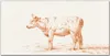 Coloray Bild aus Acryl 100 cm x 50 cm - Wanddekoration Produktbild-Vorschau 1