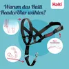 Halti Kopfgeschirr für Hunde | Größe 3, Schwarz Produktbild-Vorschau 3