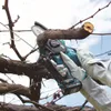 A person is using a cordless chainsaw to prune branches of a tree. Produktbild-Vorschau