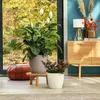 LECHUZA-Pflanzgefäß CLASSICO Color 28 Sandbraun | Produktbild-Vorschau 17