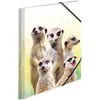 HERMA Eckspannermappe Exotische Tiere A4 Erdmännchentruppe Produktbild-Vorschau 8