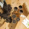 Abbaubare Anzuchttöpfe eckig, 120x Anzuchttöpfe aus Produktbild-Vorschau 8
