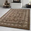 Carpetsale24 Klasický orientálny koberec s orientálnym Náhľad obrázku produktu 1