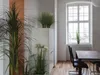 EUROPALMS Orchideenzweig, künstlich, creme-weiß, 100cm Produktbild-Vorschau 4