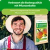 Purgrün -Aprikosenbaum-Dünger 1 kg, Produktbild-Vorschau 2