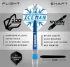 RED DRAGON Gerwyn Iceman Price Game On Series 20g Produktbild-Vorschau 3