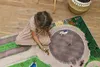 Pferde Spielteppich Großer Reiterhof Größe: 200cm x 160cm - Produktbild-Vorschau 11