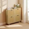 ProximaX Schuhschrank 100x24x95 cm mit Klapptüren, Produktbild-Vorschau 1