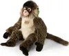 A plush toy monkey sitting on a white background. Produktbild-Vorschau