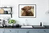 MuchoWow® Gerahmtes Poster Schottischer Highlander - Braun Produktbild-Vorschau 4