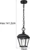 A black outdoor pendant light fixture with a chain hanging from a ceiling mount, shown with dimensions indicated by text and lines. Produktbild-Vorschau