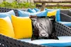 MuchoWow® Outdoor Kissen - Schottisches Hochlandrind - Produktbild-Vorschau 4