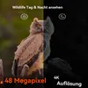 Wildkamera Wildtierkamera 4K 48P WLAN Solar Wildkamera mit Produktbild-Vorschau 3