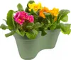 A close-up shot of a green planter filled with pink, yellow, and orange primrose flowers. Náhled obrázku produktu