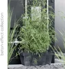Květináč Cube beton effect antracit 14 cm Náhled obrázku produktu 2