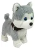 Husky interaktivní Náhled obrázku produktu 3