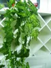 Guirlande de lierre artificiel Vert 24 pièces de 2,1m Voir les images du produit 11