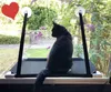 Fenster Katzenhängematte für Katzen bis 23 kg | extra Produktbild-Vorschau 3