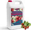 Bioethanol 96,6% 20L |  Alkohol Walderdbeerduft 96,6% 4x5L Produktbild-Vorschau 2