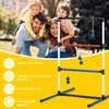 Leitergolf-Set für Indoor-Outdoor-Spiele mit 6 Bällen Produktbild-Vorschau 3