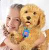 Moji Labradoodle knuffel, puppy - ongeveer 35 cm Productafbeelding-voorbeeld 2