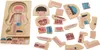 Drevené vrstvené puzzle montessori bodybuilding boy Náhľad obrázku produktu 7
