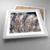 Gerahmtes Poster - Weißer Rahmen - Stock Ähren Boho - 30x30 Produktbild-Vorschau 3
