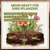 Green Home Blumenerde 72 L – Pflanzerde für Zimmerpflanzen, Produktbild-Vorschau 3