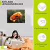 ARTland Leinwandbild Mohnblüte Nahaufnahme Größe: 120x90 cm Produktbild-Vorschau 2