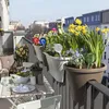 Relaxdays Szklane kulki do nawadniania, zestaw 4 szt., wys. Podgląd zdjęcia produktu 5