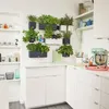 A kitchen scene with a wall-mounted herb garden, white cabinets, and a stand mixer. Podgląd zdjęcia produktu