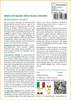 SAFLAX  - Albero di Natale della Nuova Zelanda - 300 semi - Anteprima dell’immagine prodotto 3