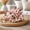 Seepocke 20 cm echte Barnacle Meeresdeko Maritim Produktbild-Vorschau 5