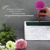 VonBueren, 3 blocs de mousse humide | Mousse florale | env. Voir les images du produit 4