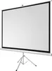 celexon basic Stativ-Leinwand 120" | 220x220 cm 1:1 | Produktbild-Vorschau 6