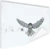 MuchoWow® Poster Sperbereule 120x80 cm - Bilder Produktbild-Vorschau 1