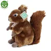 Peluche écureuil 21 cm ECO-FRIENDLY Voir les images du produit 1