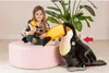 A young girl sits on a pink ottoman holding a small plush toucan, with a large plush toucan standing next to her. A plant is in the background. Voir les images du produit