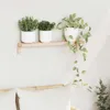 vidaXL Étagère murale suspendue Nature 62 x 10 x 12,5 cm Voir les images du produit 2