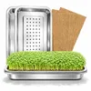 Friendly Fox Microgreens Anzuchtschale aus Edelstahl, 2er Produktbild-Vorschau 1