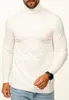 DAILY Baumwolle Herren Rollkragenpullover als Feinstrick Produktbild-Vorschau 2