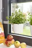 Kräuter- und Pflanzenleiter für Fenster von 72,5-111,5cm Produktbild-Vorschau 6
