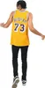 Basketbalový dres Mitchell & Ness Los Angeles Lakers #73 Náhled obrázku produktu 11
