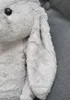 COIL coniglio mascotte di peluche, mascotte grande, Anteprima dell’immagine prodotto 4