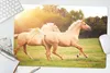 MuchoWow® Schreibtischunterlage Pferde - Gras - Sonne 60x40 Produktbild-Vorschau 5