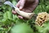 Coltello Opinel per funghi, acciaio inox misura 8 con Anteprima dell’immagine prodotto 4