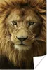 MuchoWow® Poster Porträt - Afrika - Löwe 80x120 cm - Produktbild-Vorschau 1